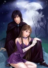 迷案至尊