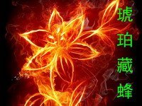琥珀藏蜂