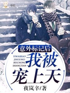 【ABO】意外标记后我被宠上天