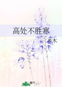 高处不胜寒