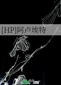 （HP同人）[HP]阿卢埃特